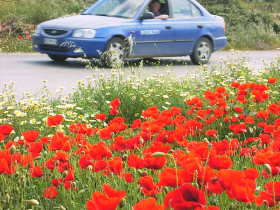 ride with a car