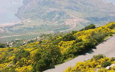 Livadia1