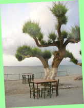 Katherinas restaurant