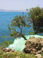 green stone